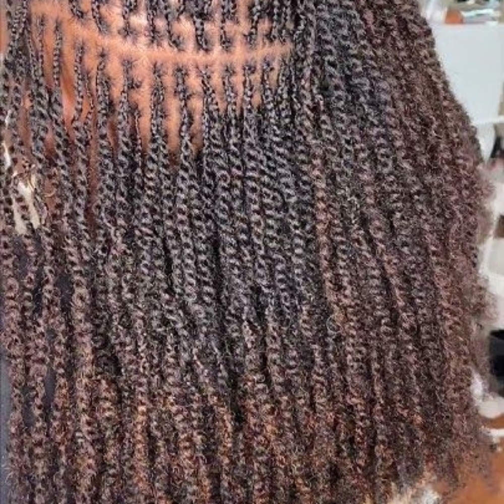 Starter Micro Loc W/ Extension at Billion Hairs Salon in Kansas City, KS