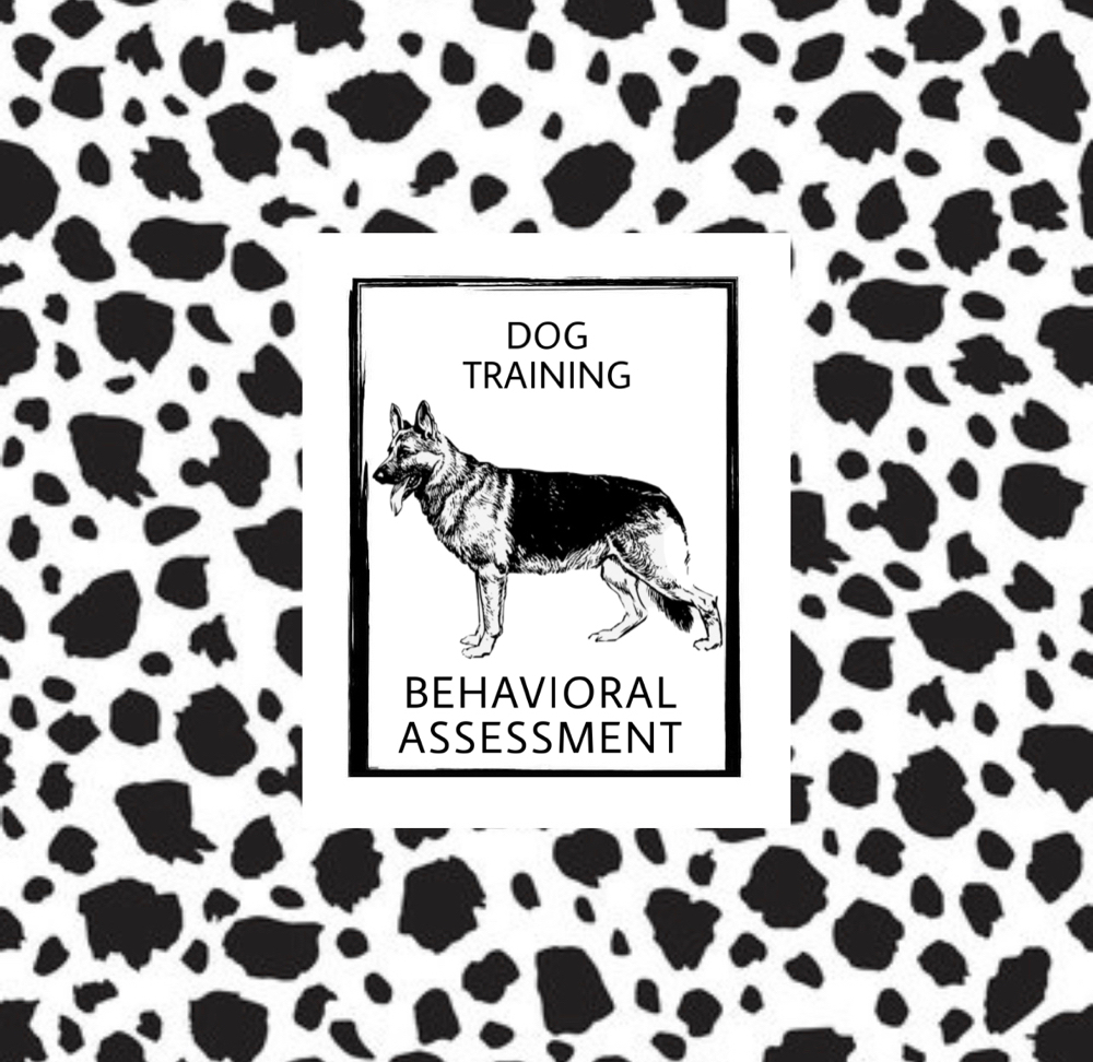 Dog Training Behavorial Assesment