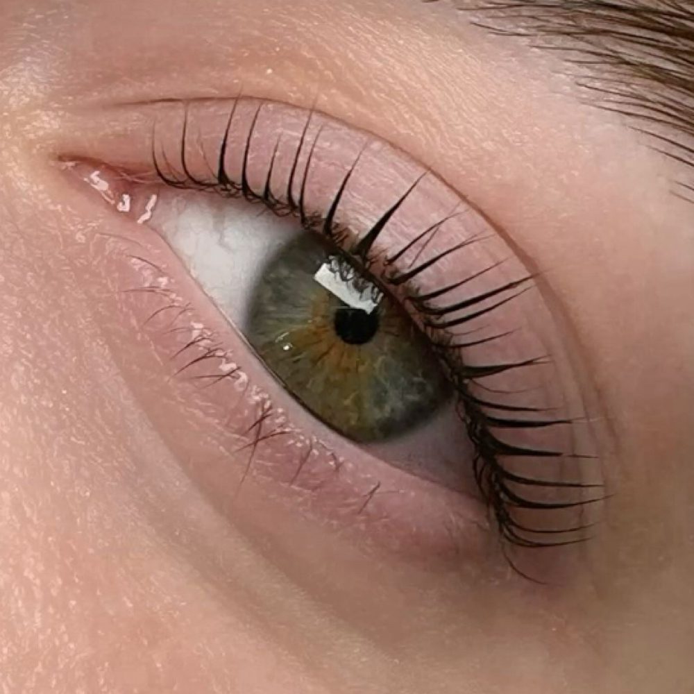 Lash Tint at Beauty Studio Jenny LLC in Meredith, NH