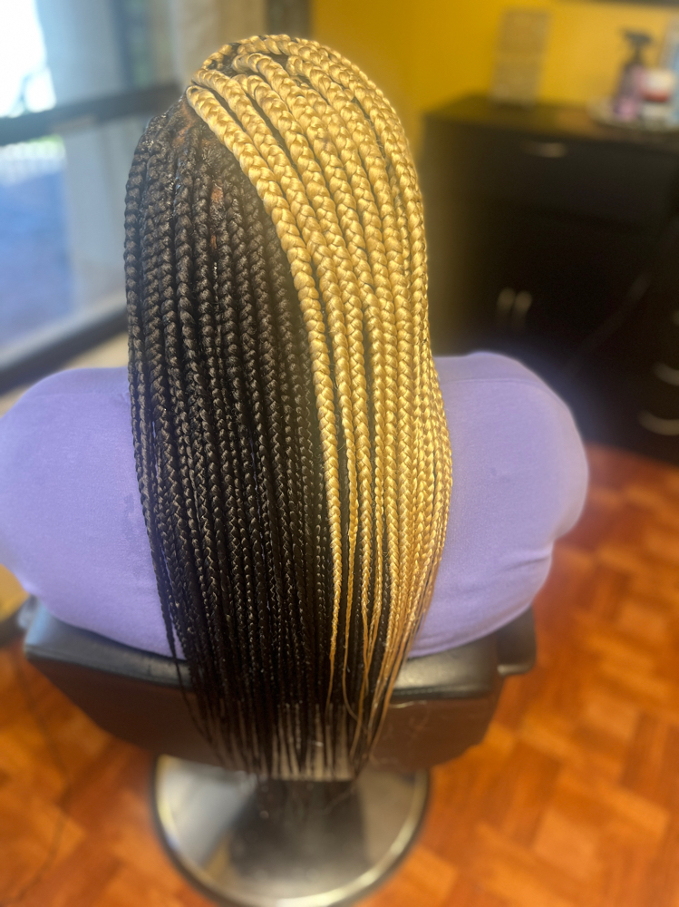 Meduimboxbraids/Hair Provided