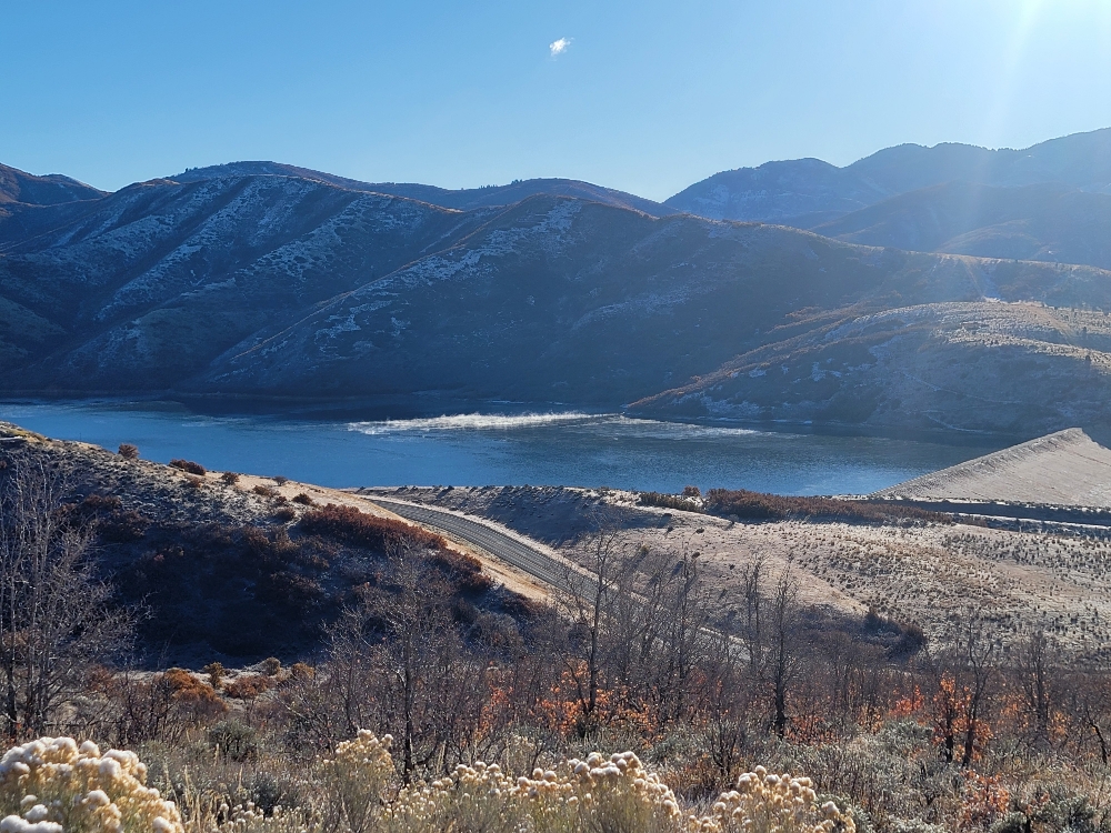 Healing Meditation Circle