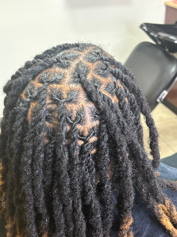 Loc Retwist