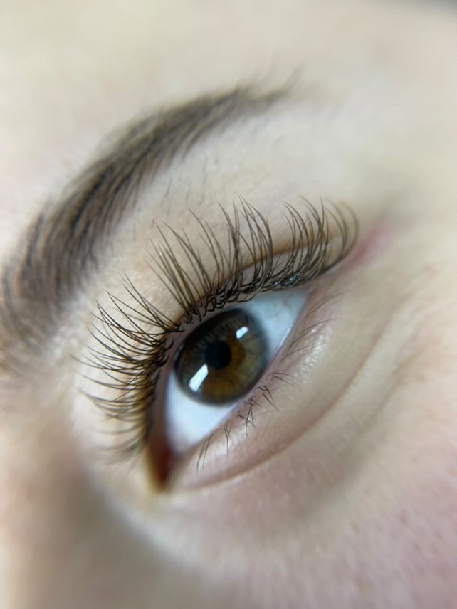 Brown Lash Classic 🤎