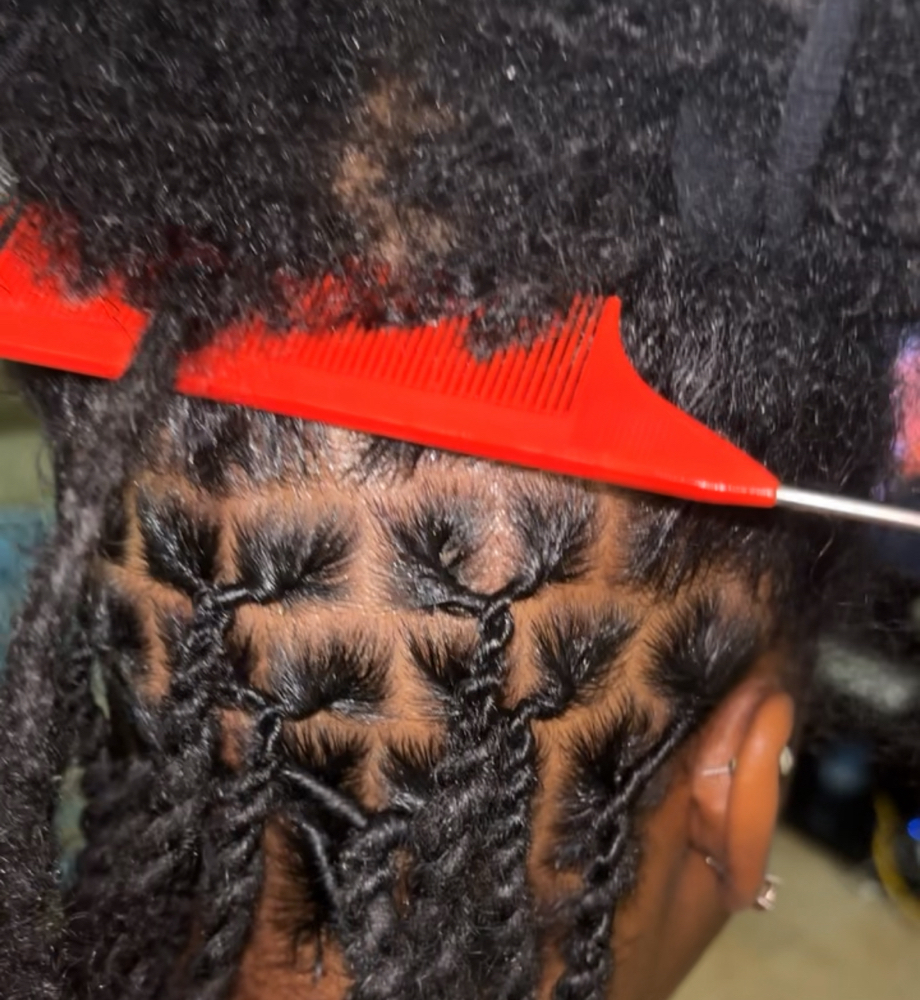 Retwist and Style Shoulder length