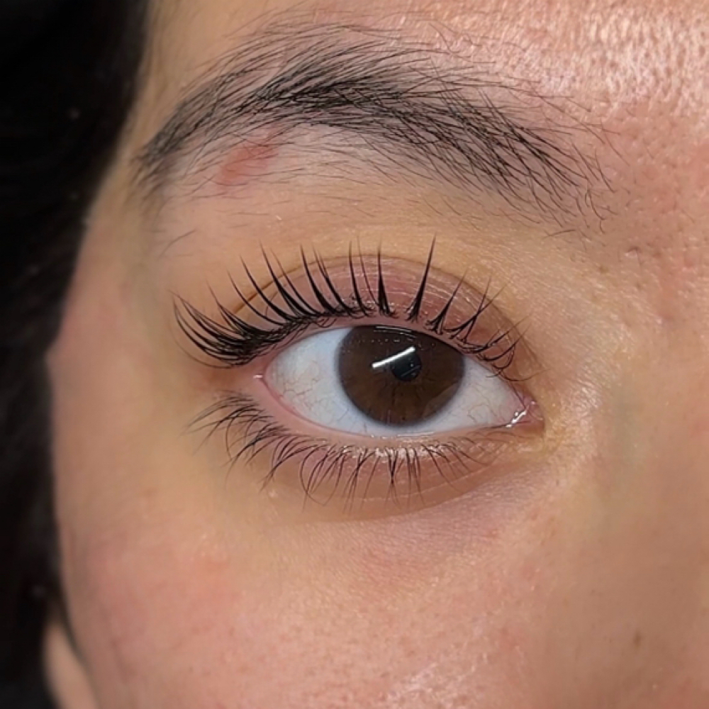 Korean Lash Lift at Haute Skin & Beauty in Northridge, CA