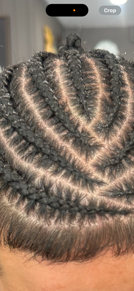 Braided Styles