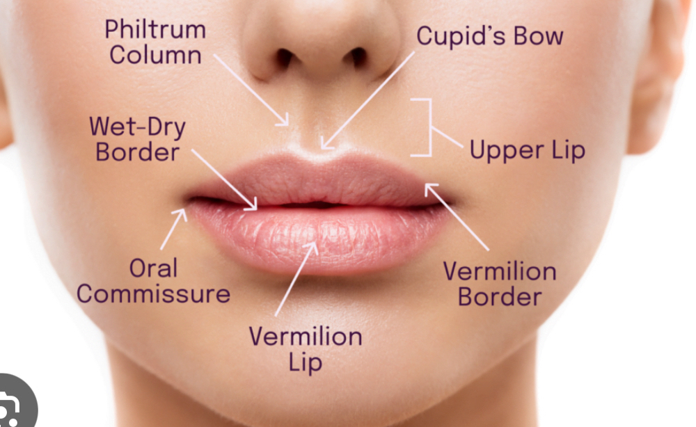 Dermal Filler - Lip