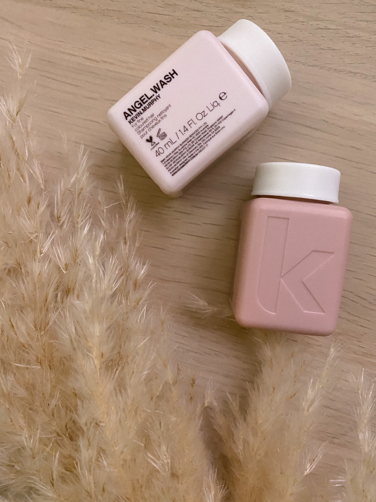 Shampoo + Style