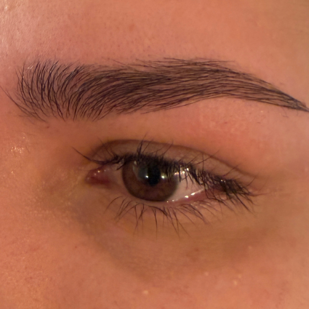 Brow Wax/Shape at The Embree Rose in Claremore, OK