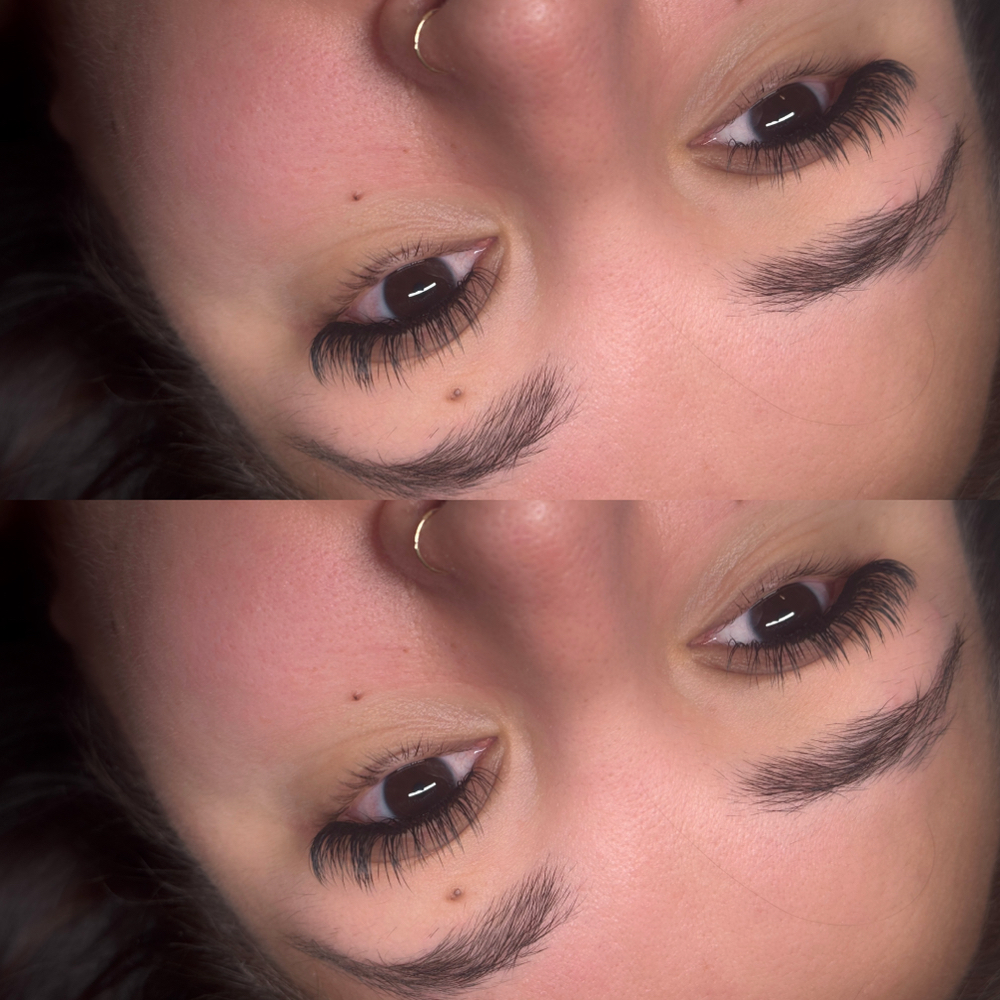 Classic Fill at Love Lashing in concord, CA