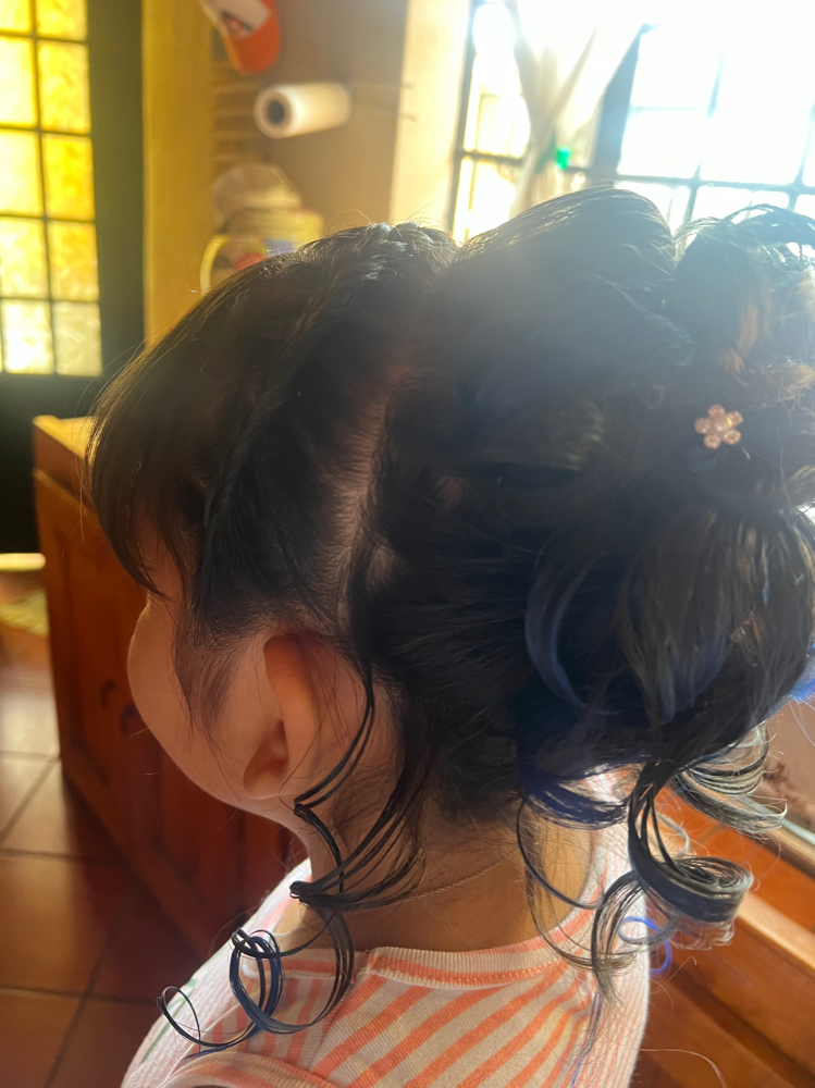 Formal Hairstyles/Events