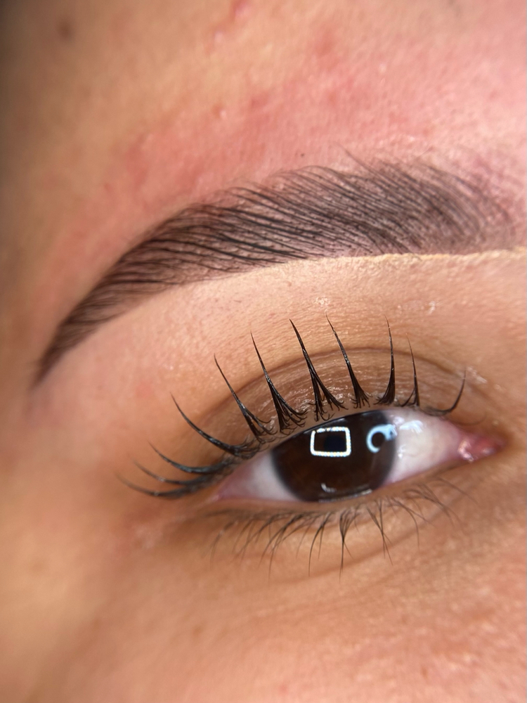 Brow Lami + Shapping + Wax + Tint