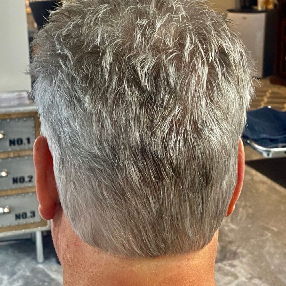 Mens Gray Blending Color at Platinum beauty salon in Naples, FL