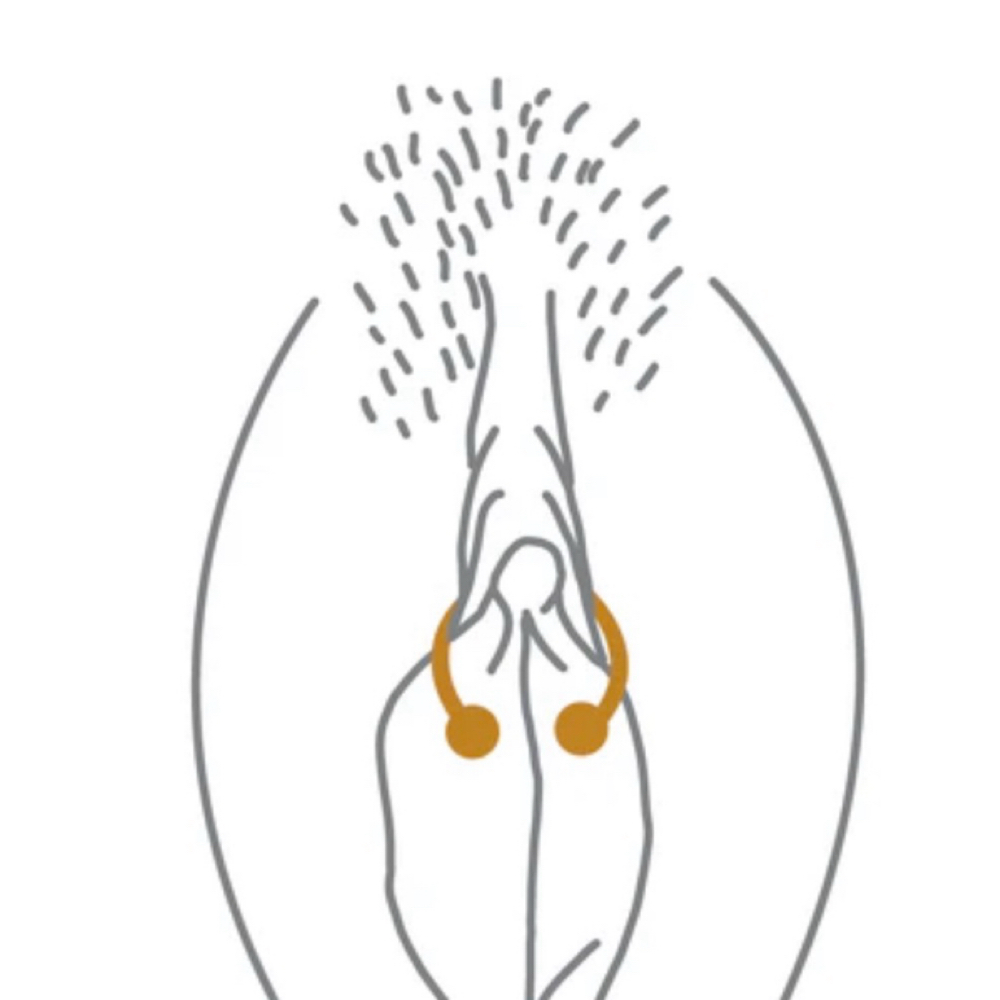 TRAINGLE (F)GENITAL at DeAna’s Diamonds in Green cove springs, FL