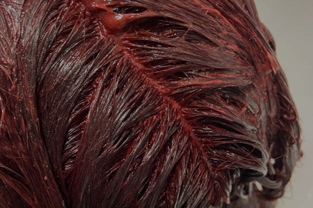 The Global Color at blonde & blended in Boardman, OH