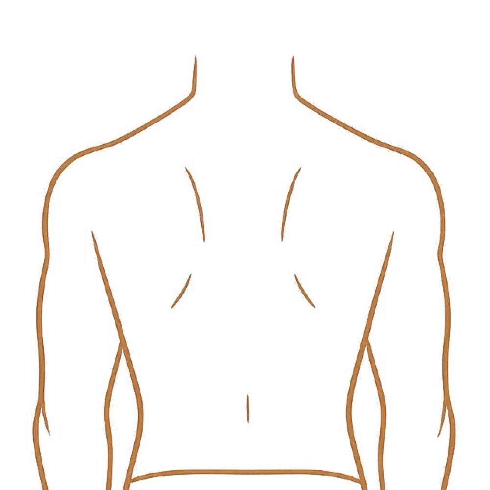 The Back at Brown Sugar Theory in El Sobrante, CA