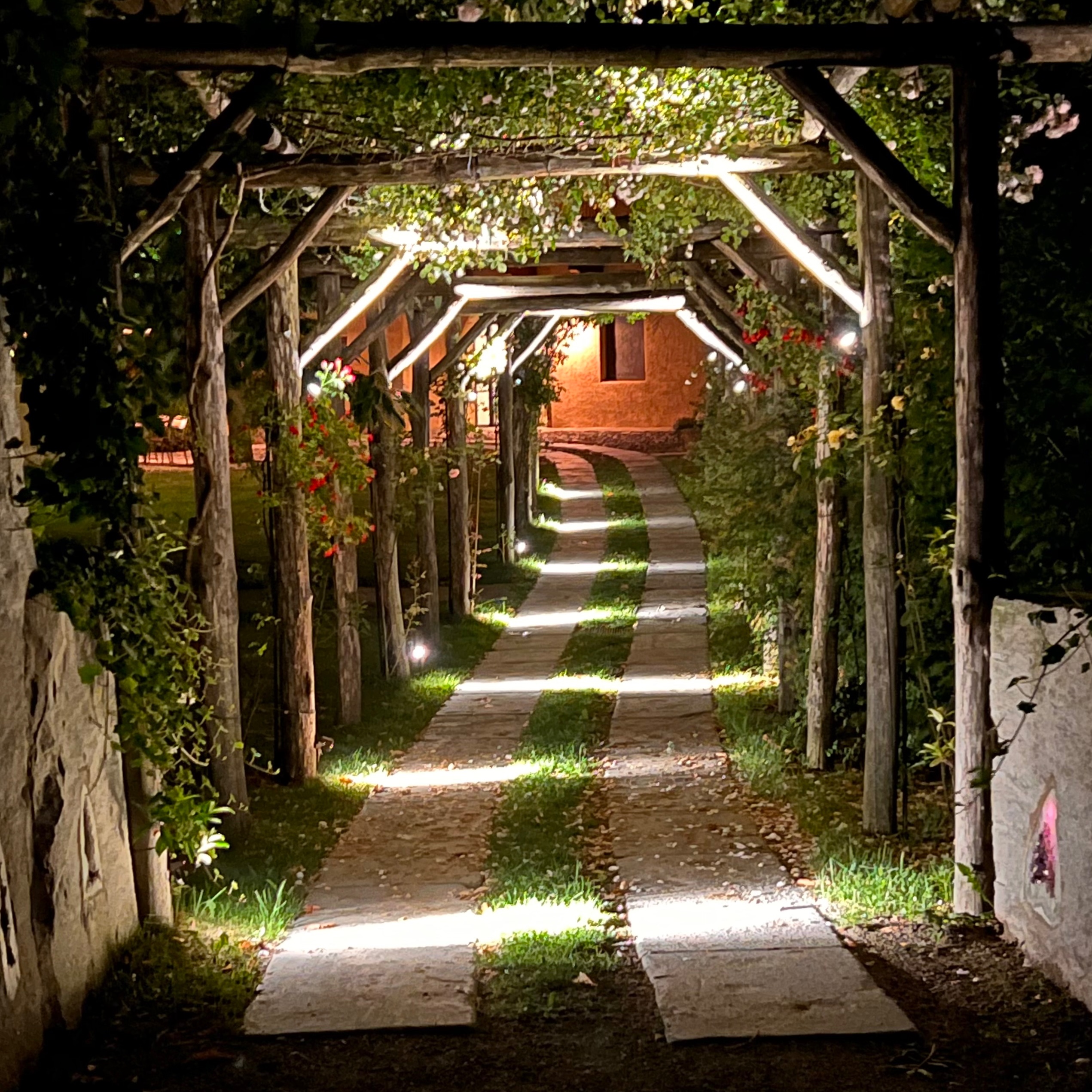 Trip Consultation: Tether and Roam at Thrive & Explore Collective in Carmel, CA