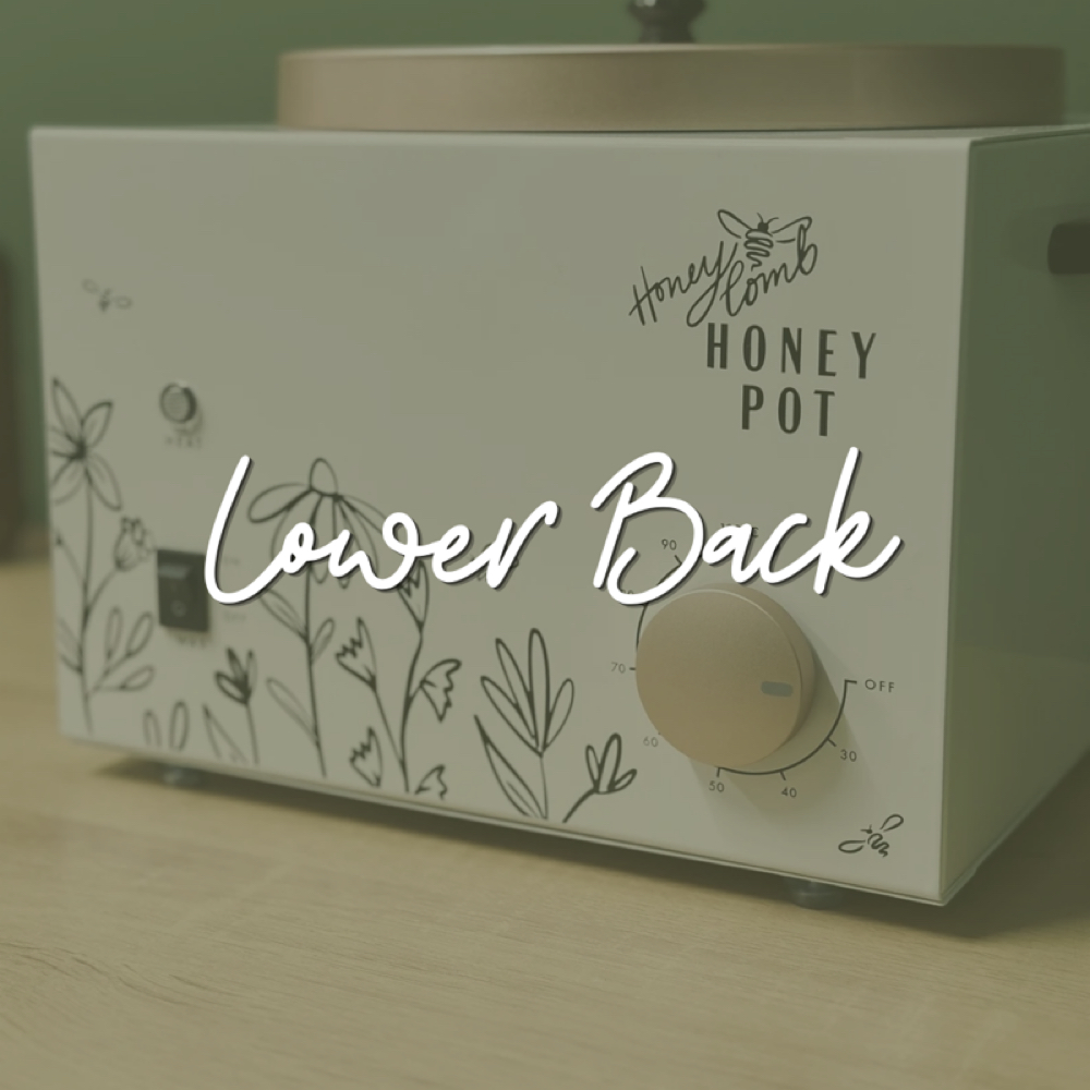 Lower Back at Wax Social in Beavercrek, OH