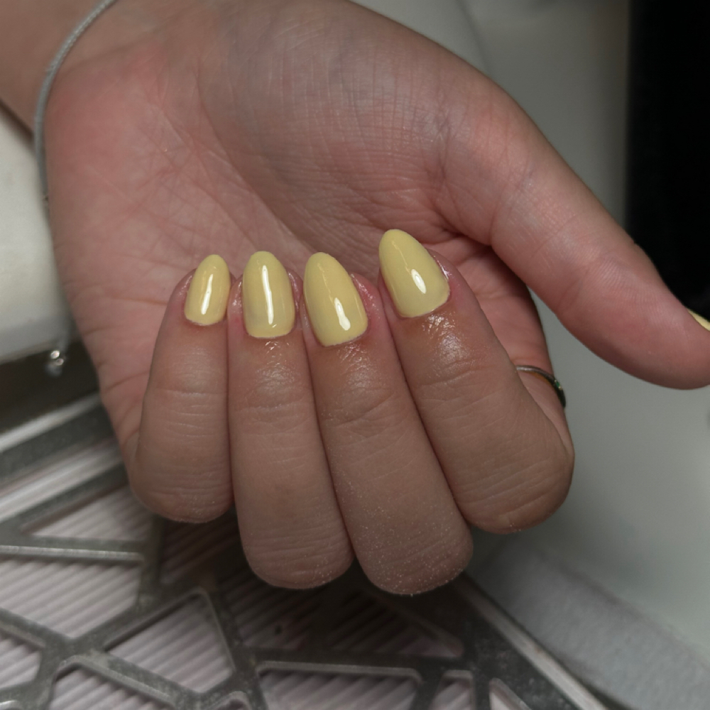 Plain Color+ rebalnce at Sophs One Stop Beauty Shop in Minneola, FL