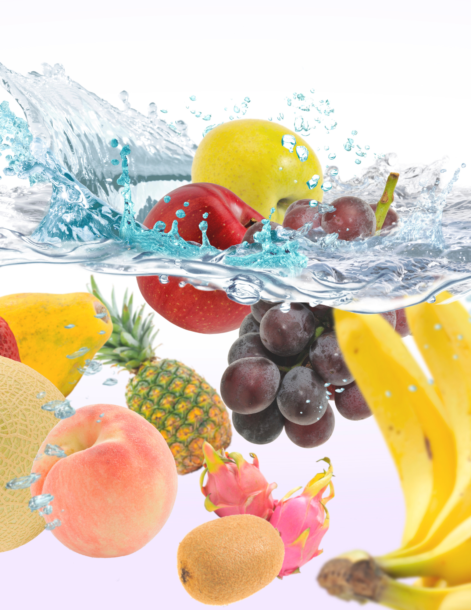 Tier II Wellness Program