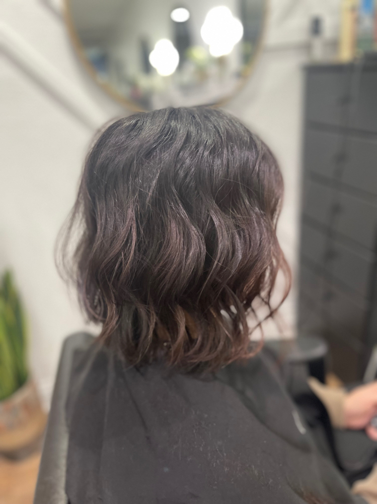 COLORMELT MAINTENANCE