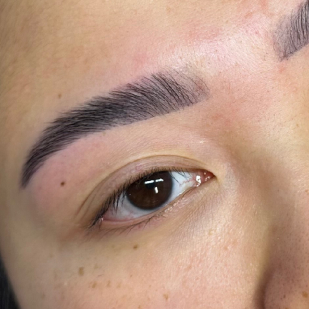 Eyebrow Lamination at Jade Luxe Beauty in Braintree, MA
