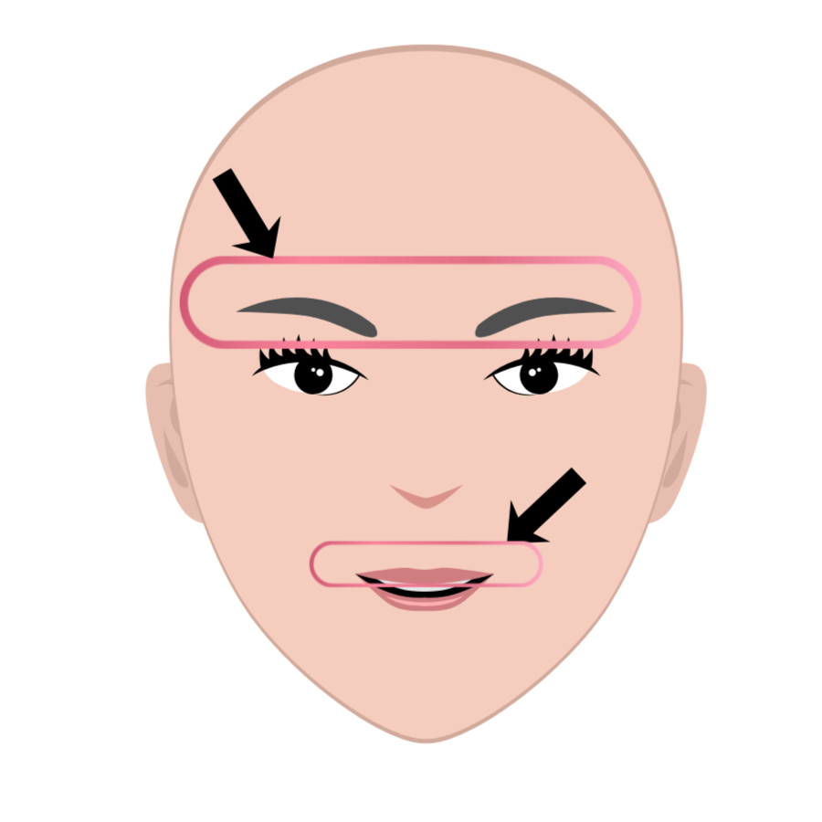 Brows + Upper Lip