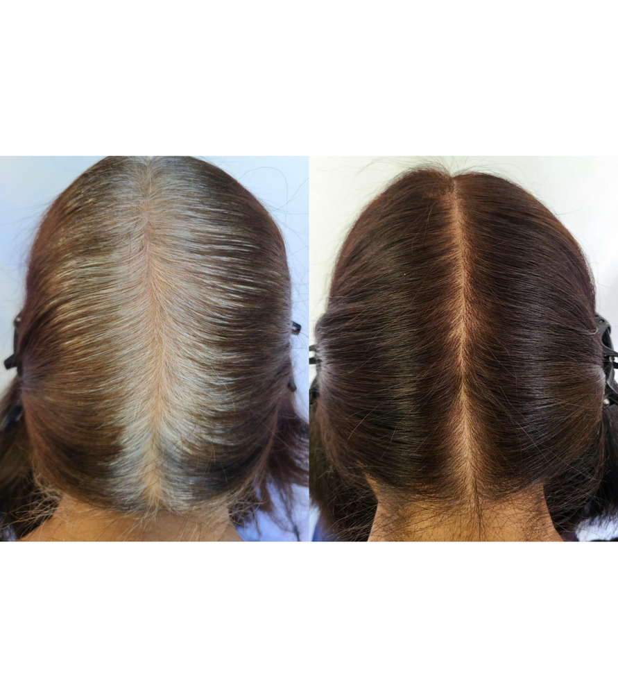 Gray Root Touch Up