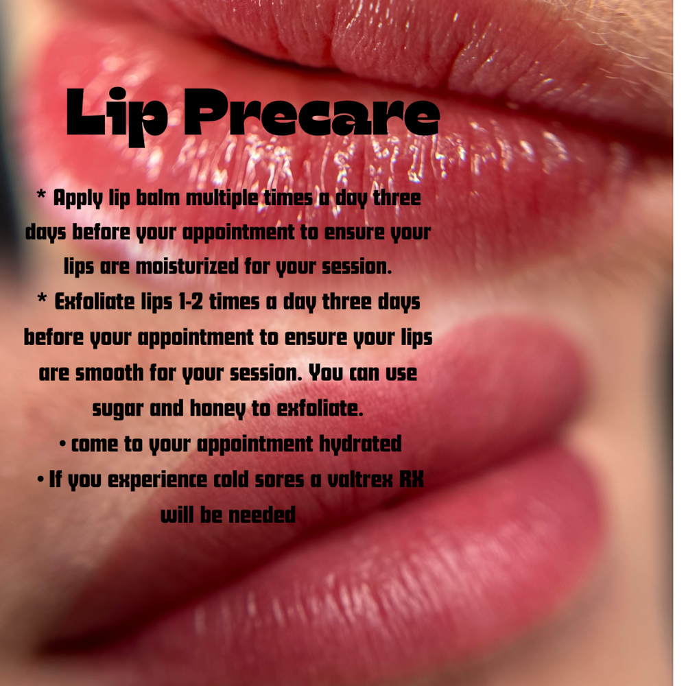 Lip Blushing Intro Rate ✨