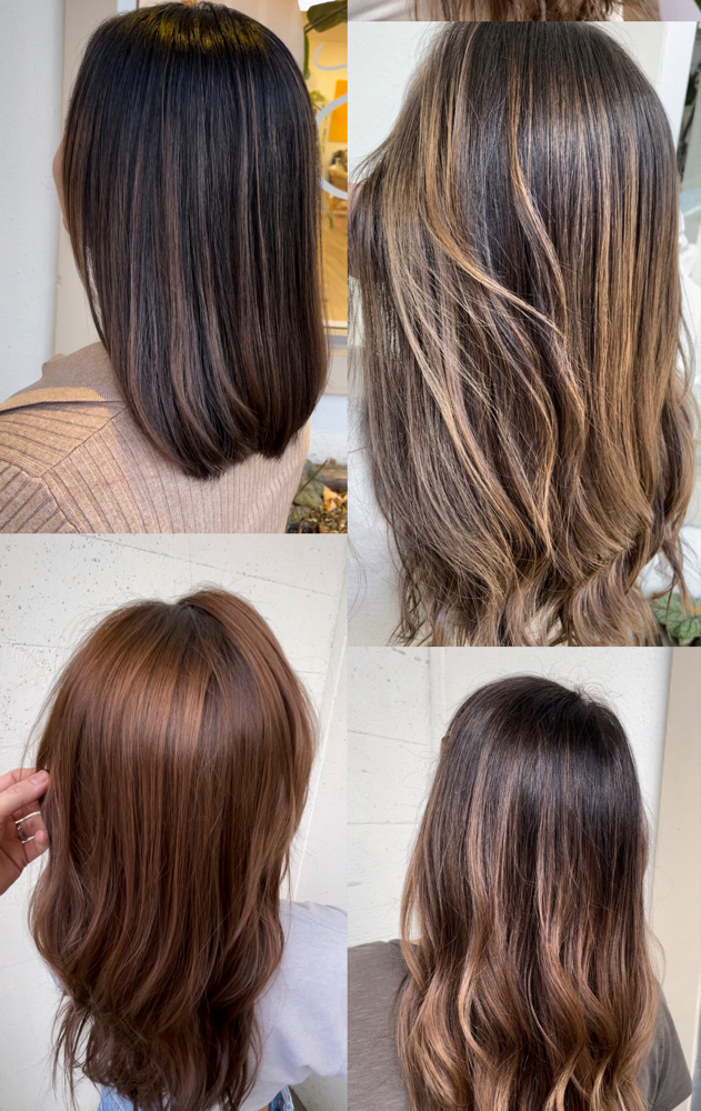 Dry Cut-Current Clients