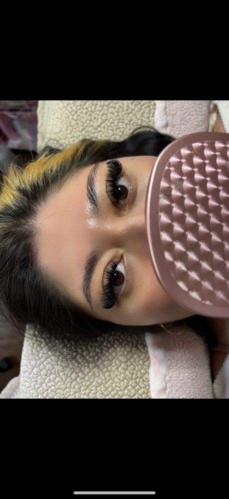 Volume Lashes
