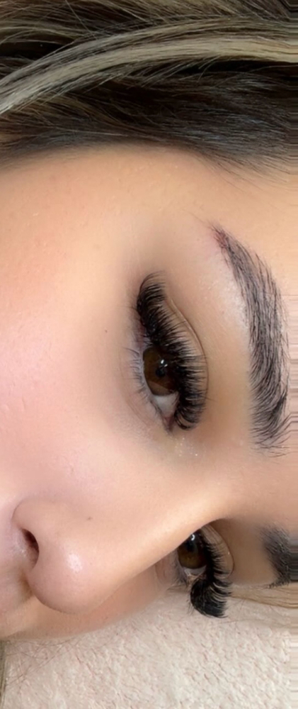Volume Lashes