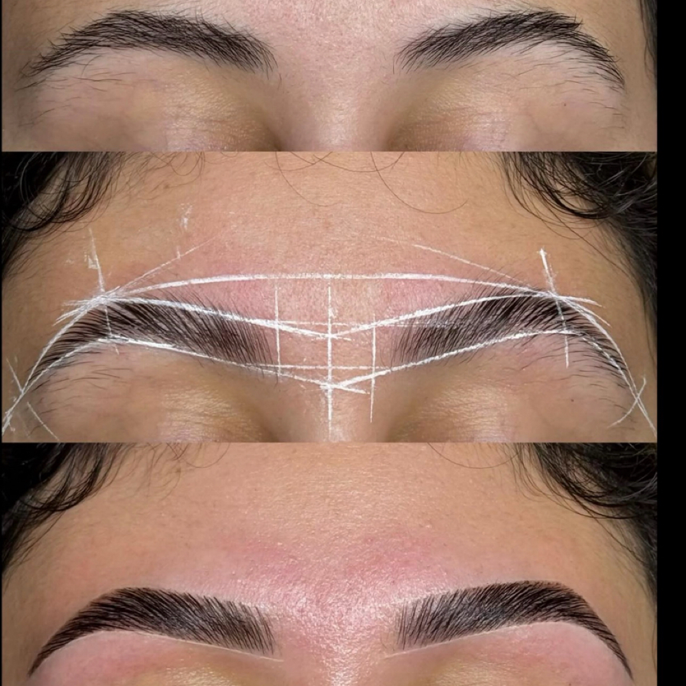Signature Brow Lamination at Blink By Jenny lashes & brows studio in Jacksonville, FL