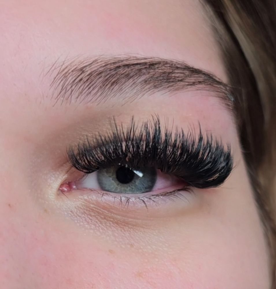 Volume Lashes