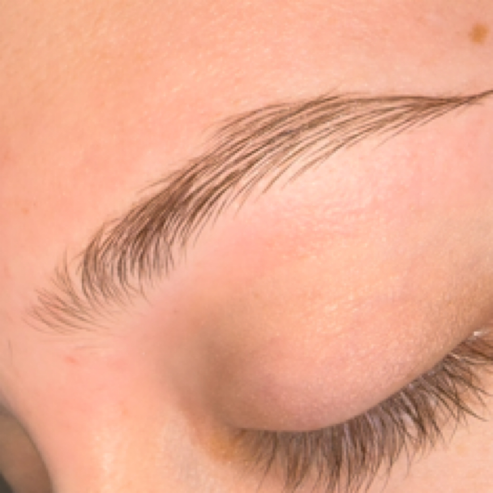 Brow Lamination and Tint at Javani Aesthetics & Wellness in Bay City, MI