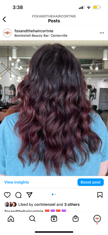 Root color touch up (no foils)