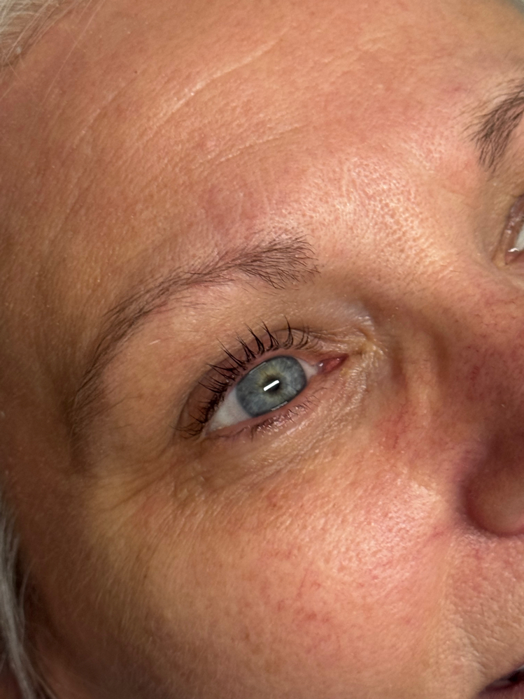 Lash Tint Only