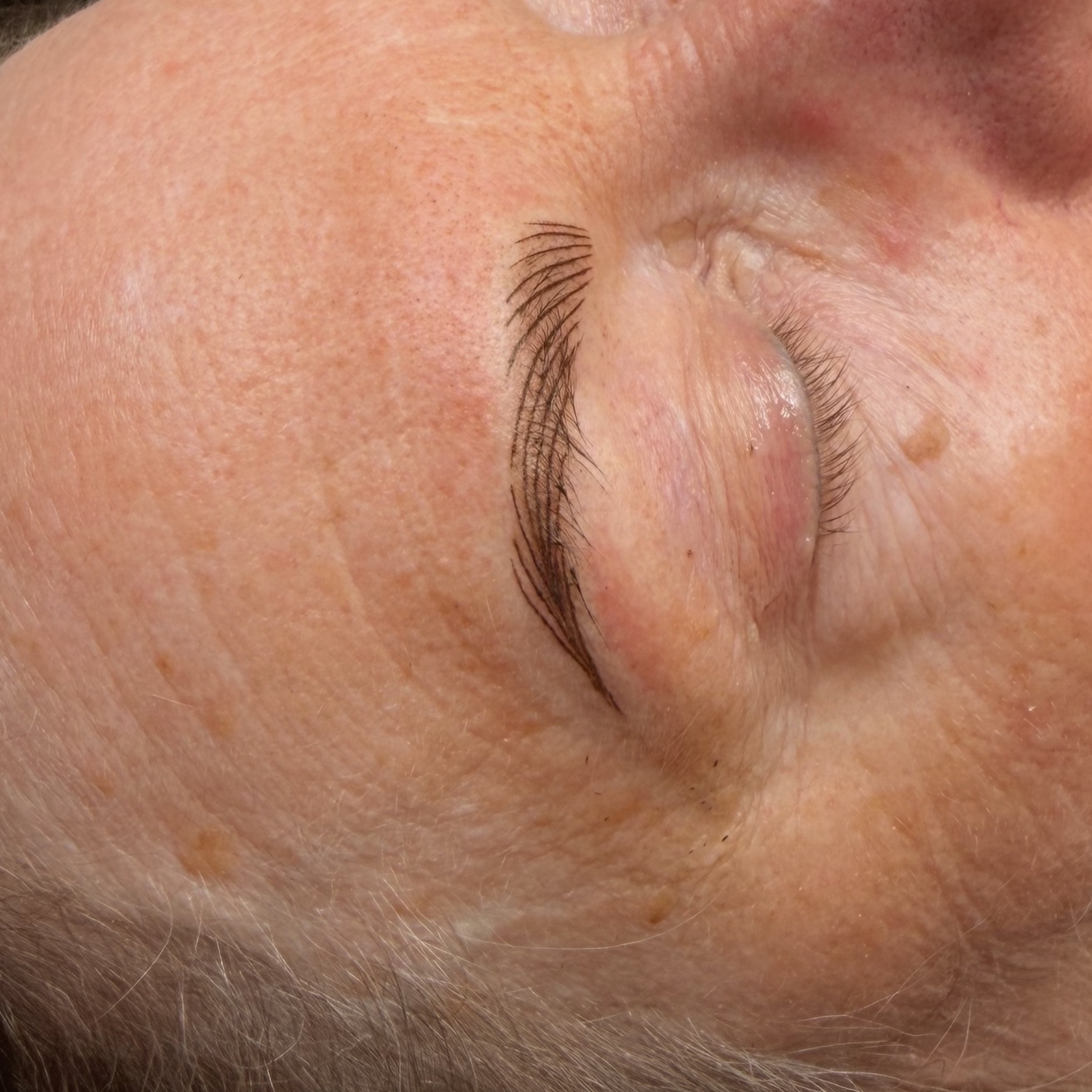 Nano Brows at Luxe by Cortlyn in Palatka, FL