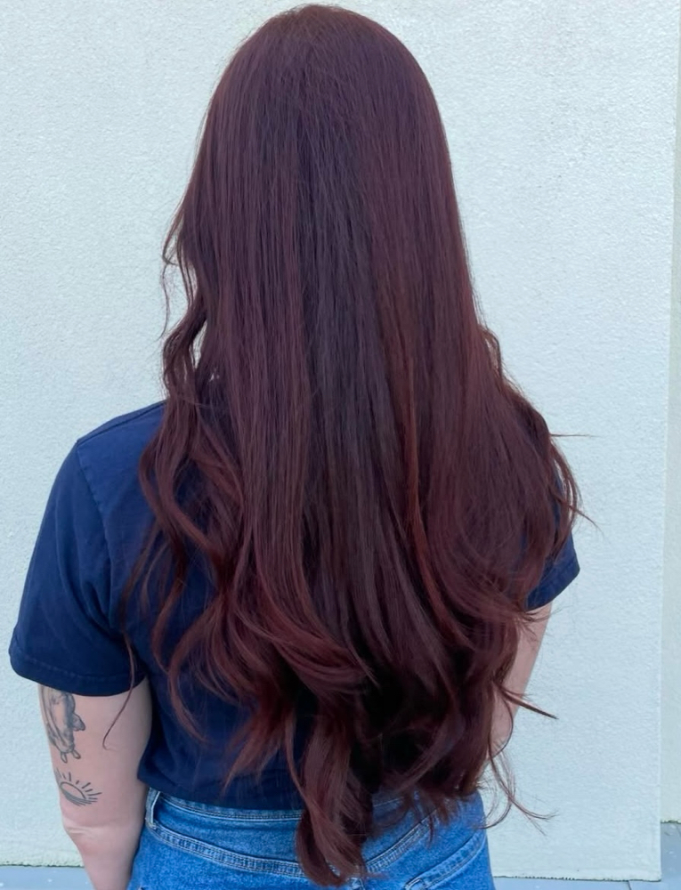 All Over Color + Haircut