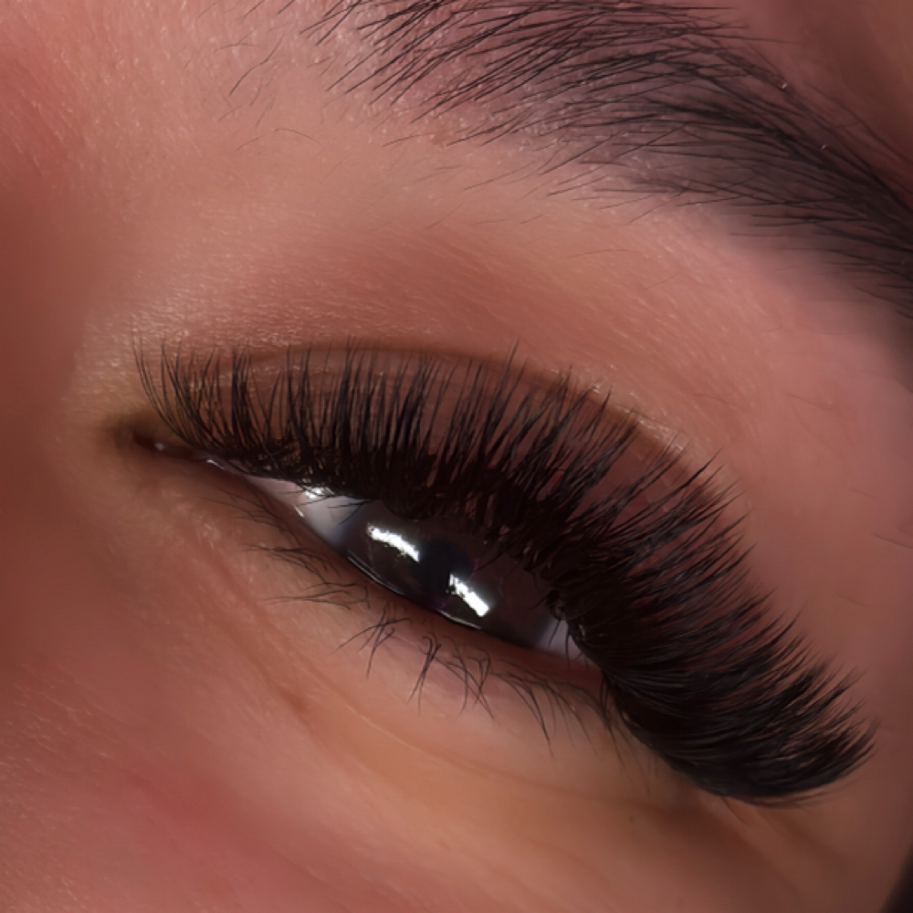 Volume at Luxury Lash Studio By Alex in Fort Worth, TX