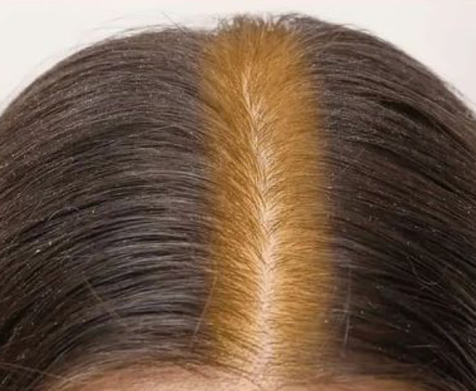 Root Touch Up / 1 Solid Color