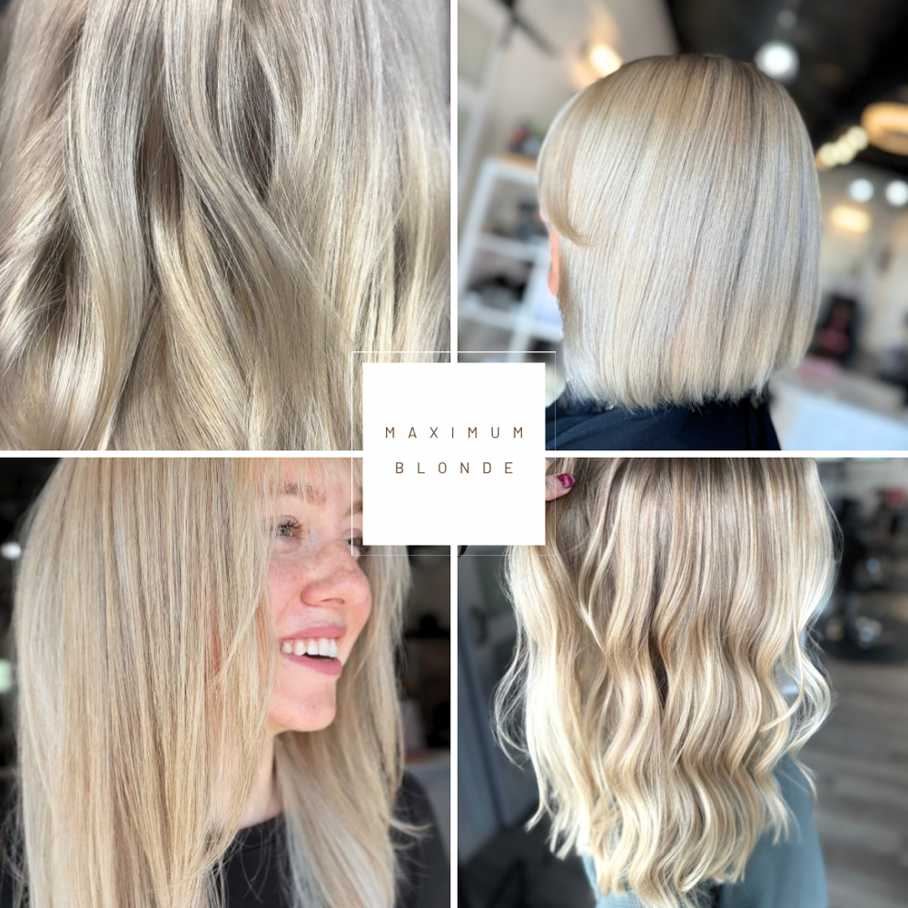 Maximum Blonde