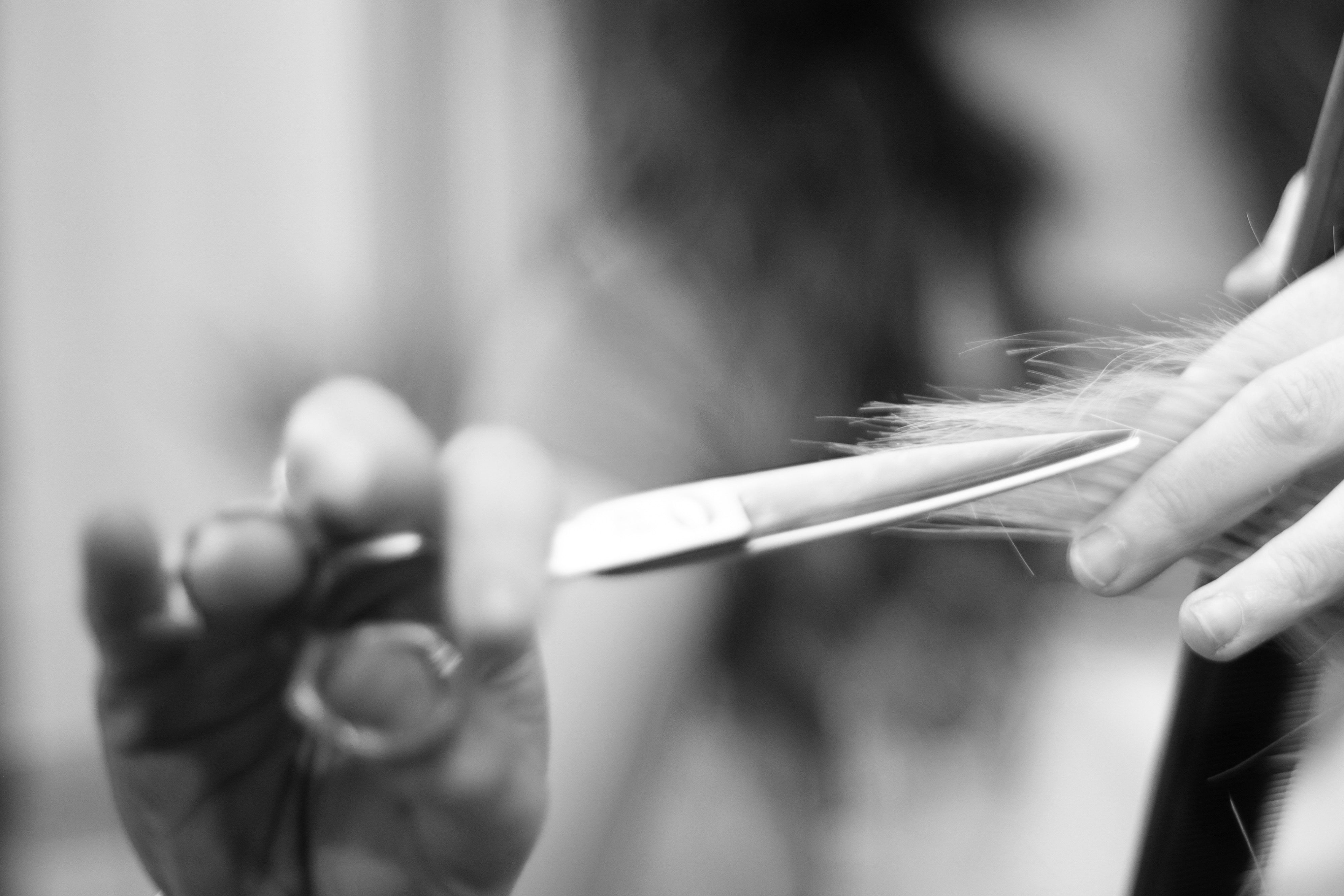 THE CUT