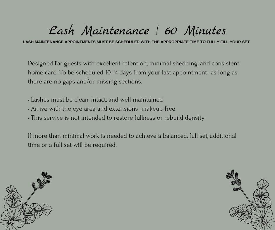 Lash Maintenance | 60min