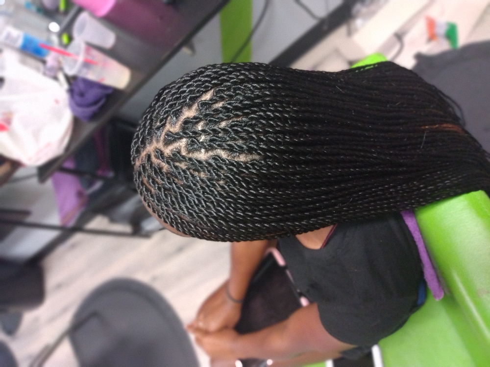 Senegalese S Butt Length