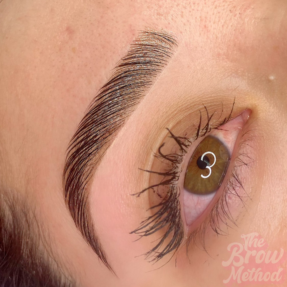 Wax and Hybrid Brow Stain