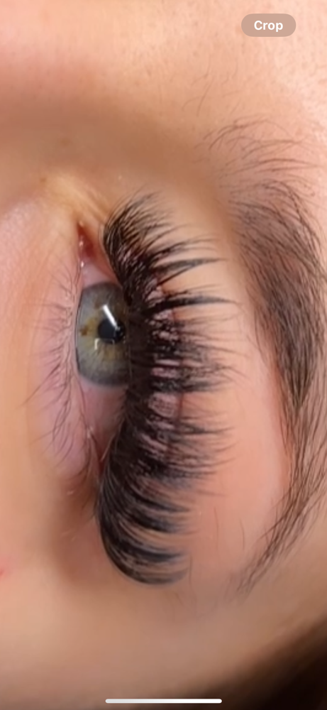 Hybrid Lash Set 2 Week Fill In