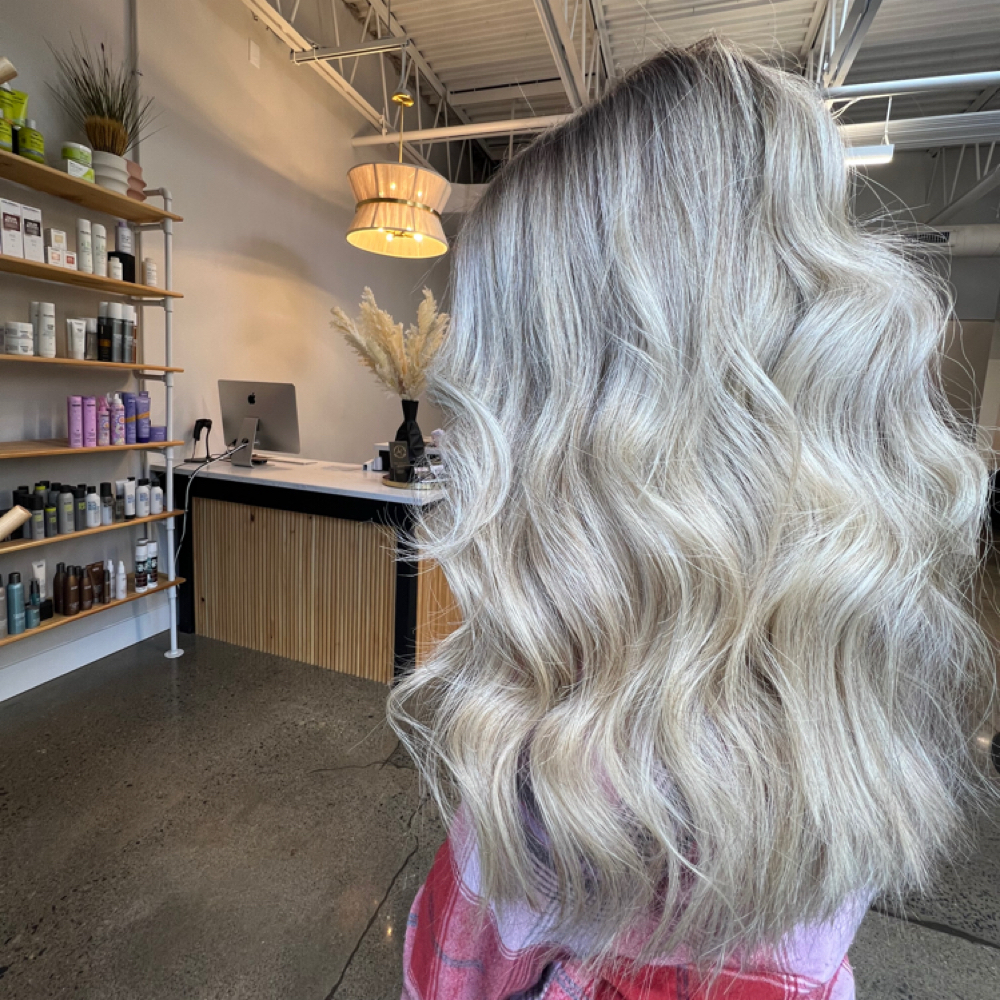 Full Highlight + Haircut at .A. Blooming Beauty in Albany, NY