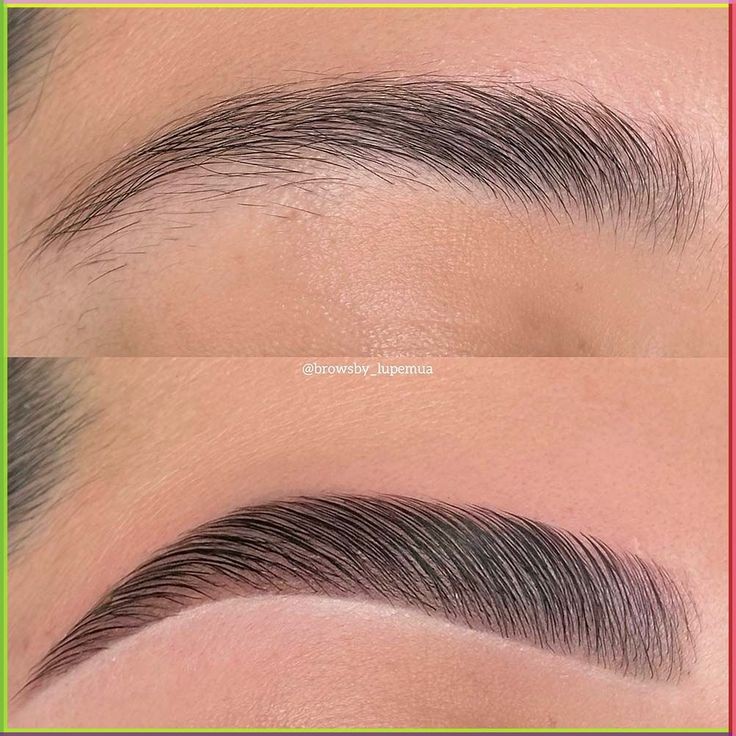 Brows Lamination + Tint