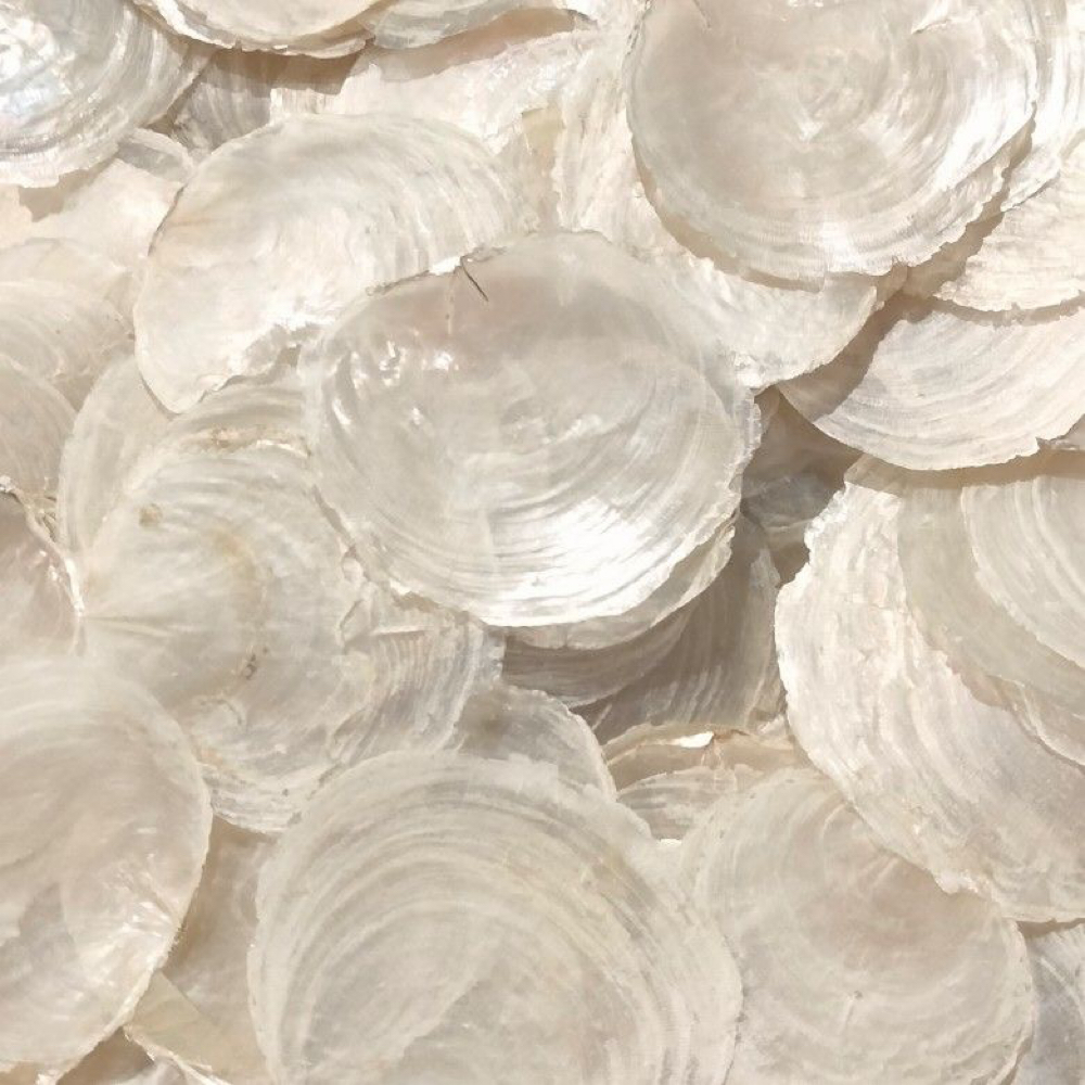 The Express at DLC SKIN in Huntington, NY